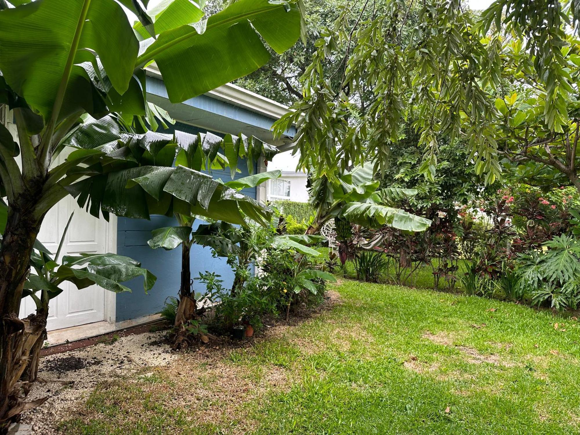 Casa Stella Homestay *